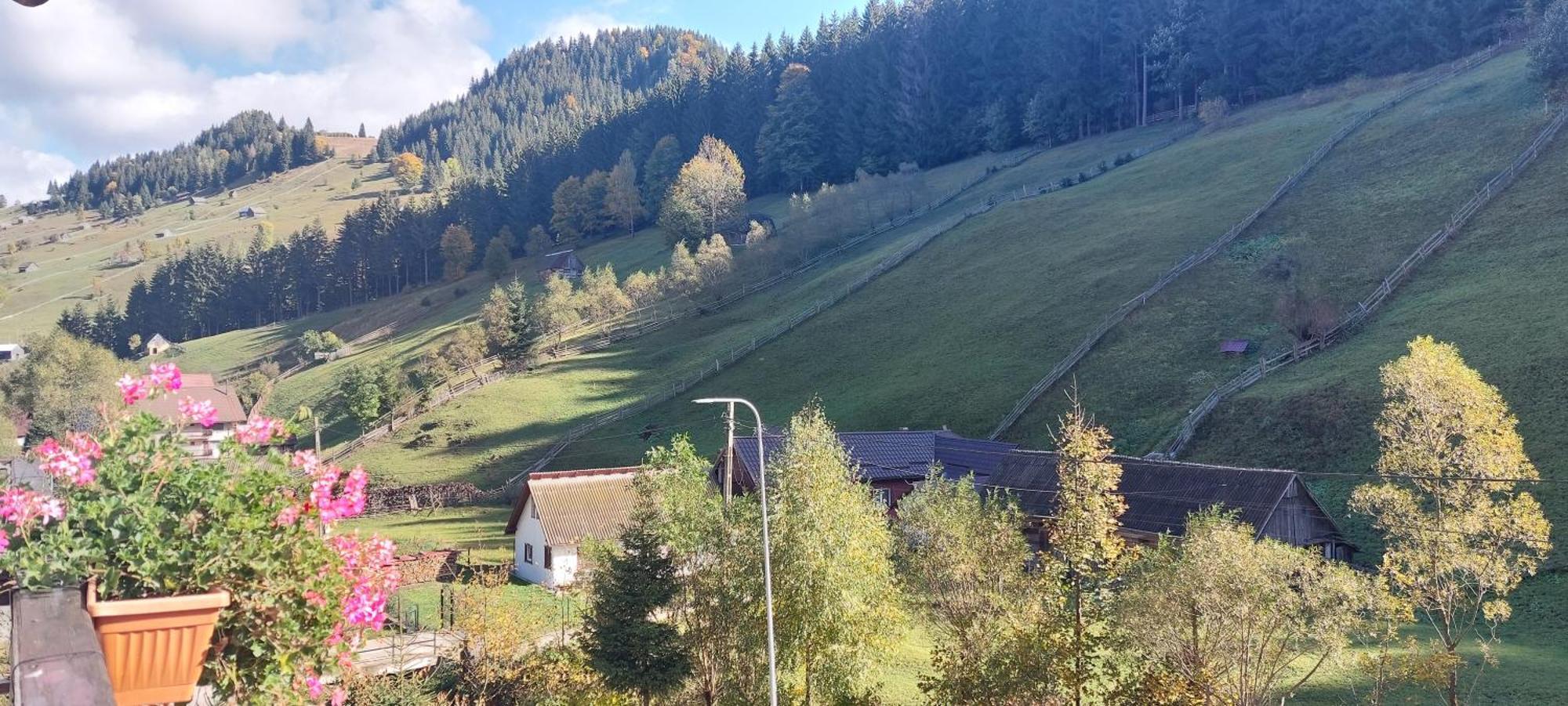 La Cascade 2 Otel Moeciu De Sus Dış mekan fotoğraf