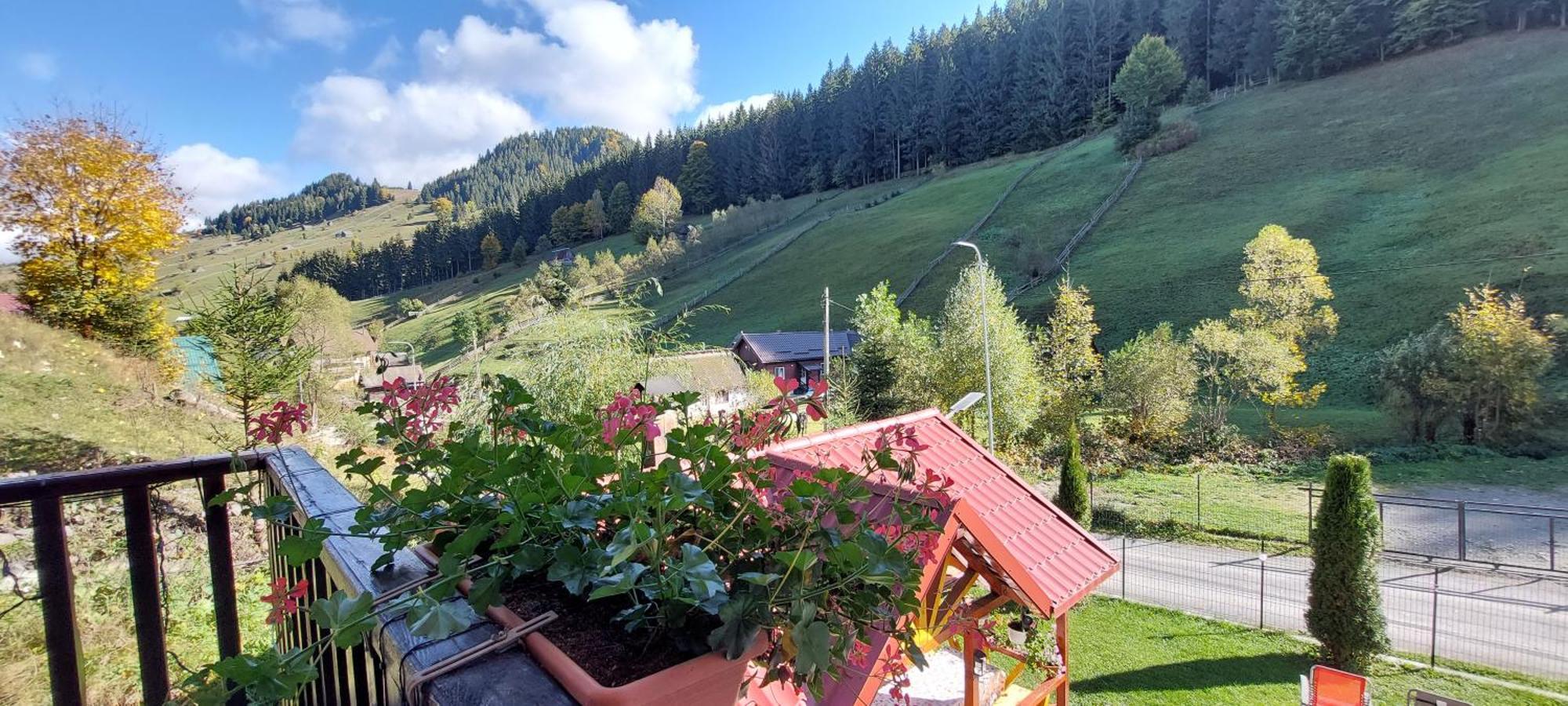 La Cascade 2 Otel Moeciu De Sus Dış mekan fotoğraf