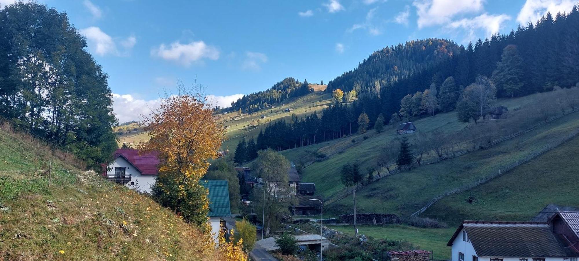 La Cascade 2 Otel Moeciu De Sus Dış mekan fotoğraf