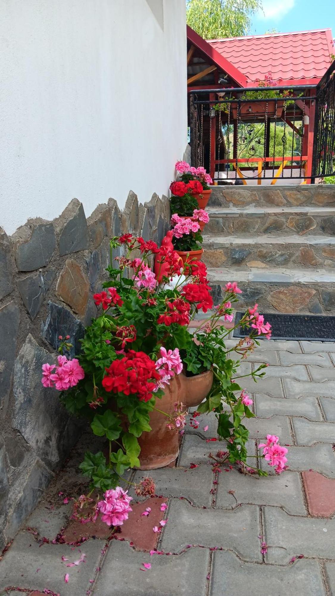 La Cascade 2 Otel Moeciu De Sus Dış mekan fotoğraf