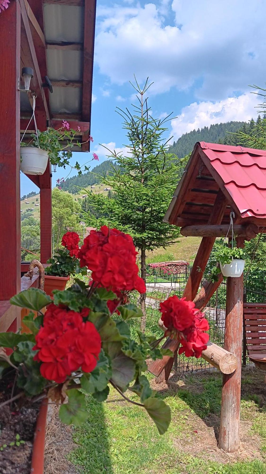 La Cascade 2 Otel Moeciu De Sus Dış mekan fotoğraf