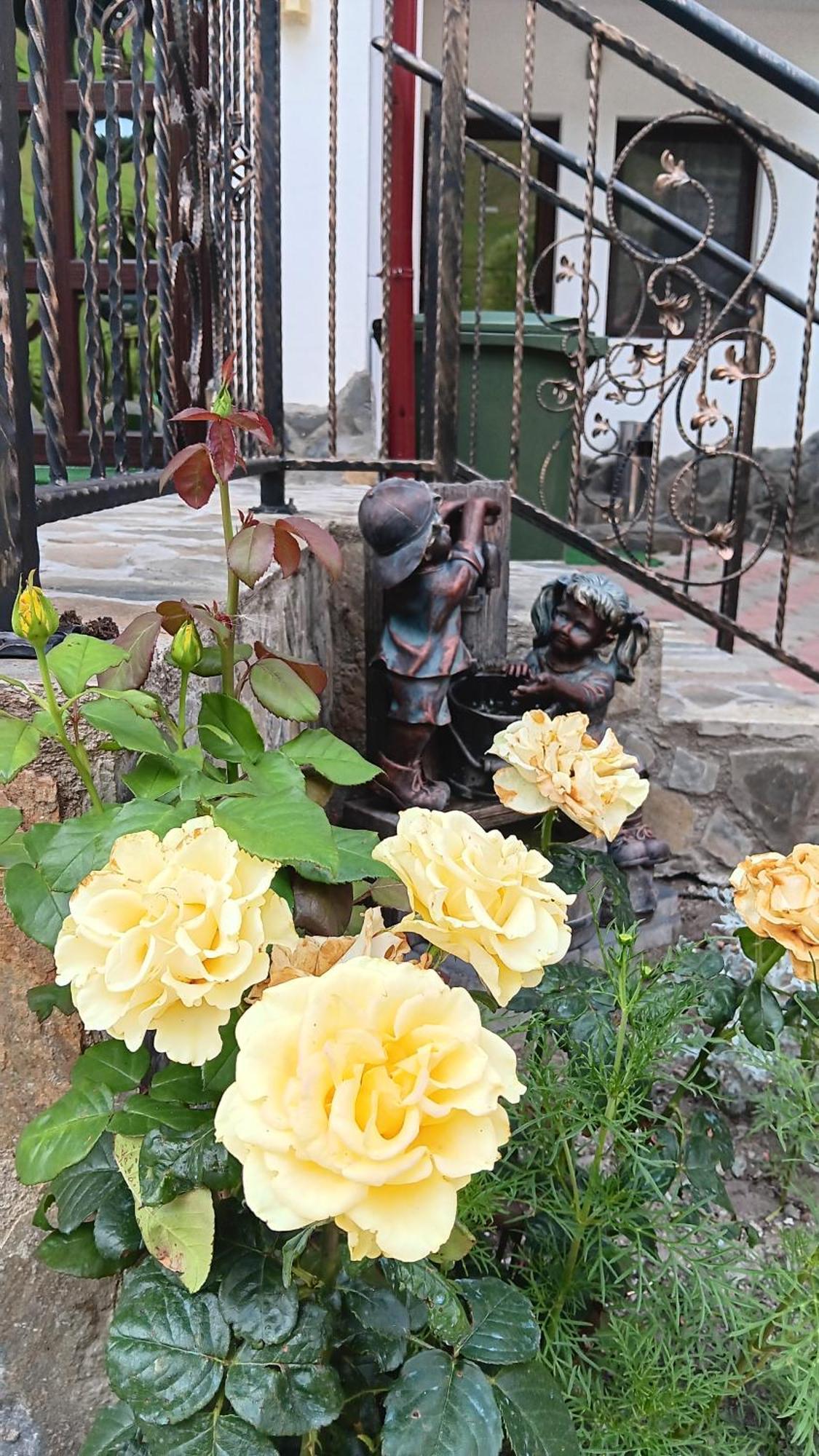La Cascade 2 Otel Moeciu De Sus Dış mekan fotoğraf