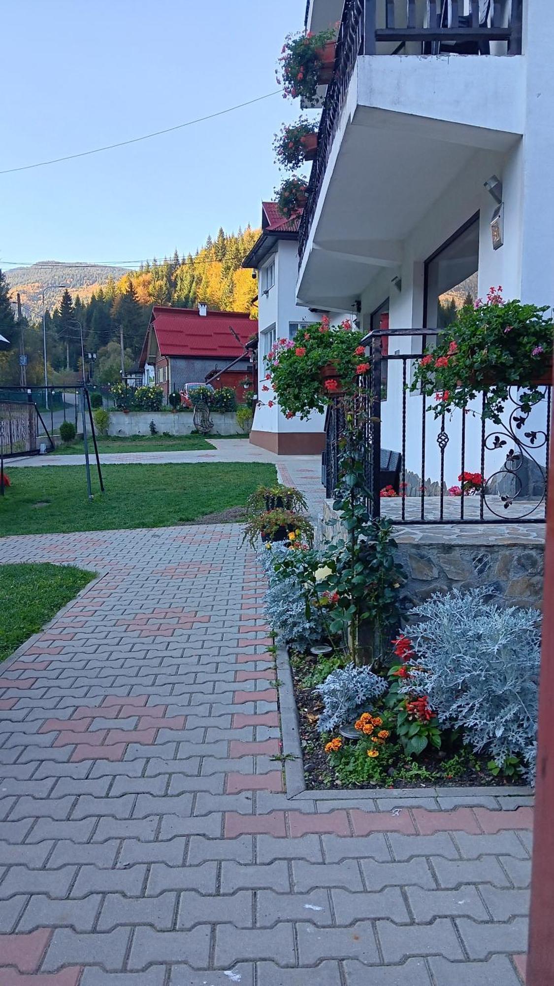 La Cascade 2 Otel Moeciu De Sus Dış mekan fotoğraf