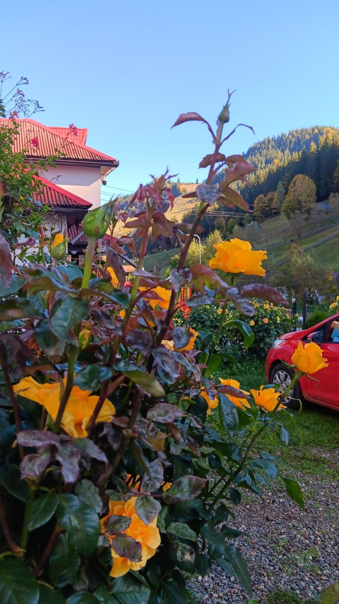 La Cascade 2 Otel Moeciu De Sus Dış mekan fotoğraf