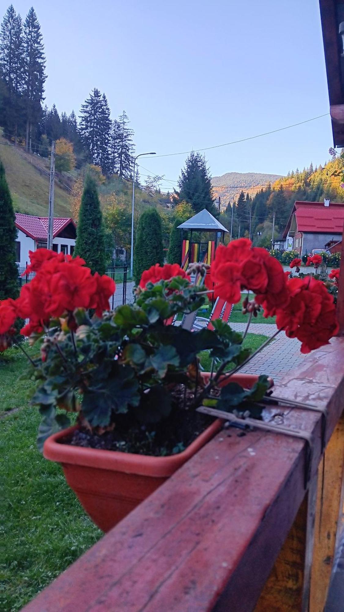 La Cascade 2 Otel Moeciu De Sus Dış mekan fotoğraf
