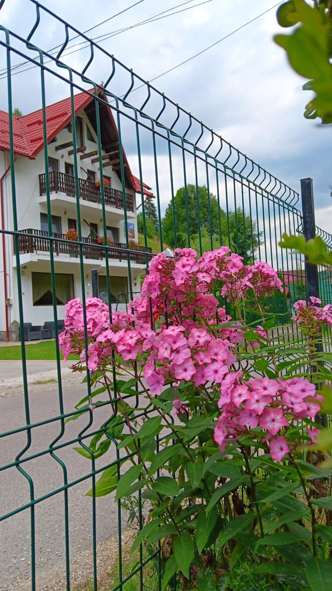La Cascade 2 Otel Moeciu De Sus Dış mekan fotoğraf